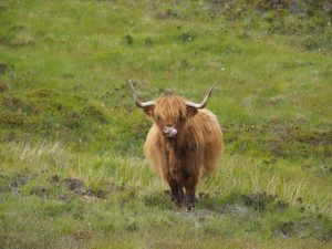 1. Integração de Energias Renováveis em Infraestruturas Urbanas Inteligentes