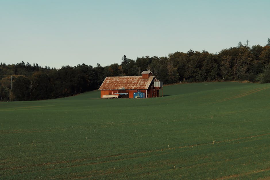 1. Estratégias de Financiamento para Projetos de Energia Sustentável em Pequenas Comunidades